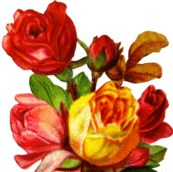 Isabel II: From Unexpected Heir to Historic Reign